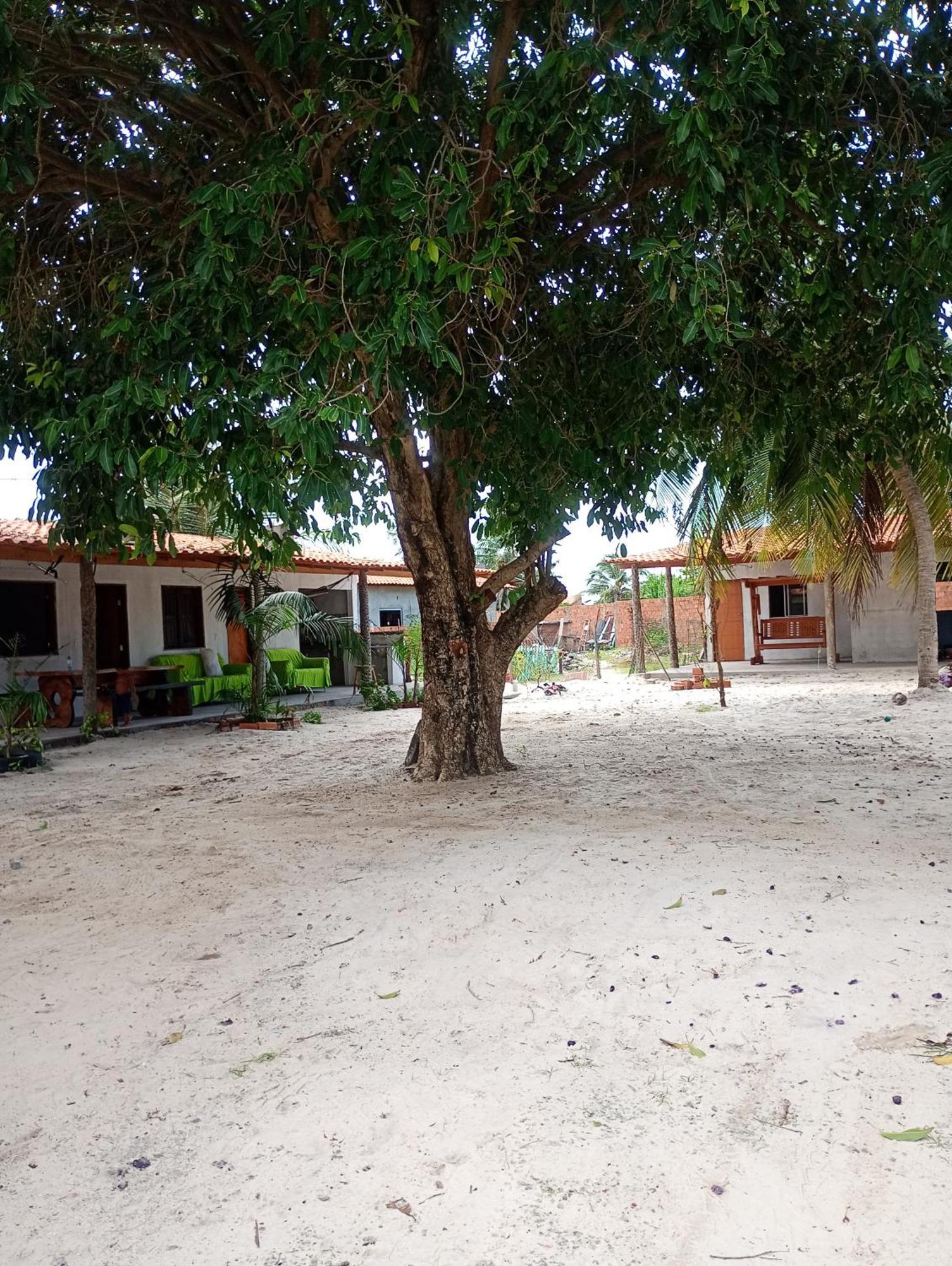 Pousada Shalom E Hostel Holly Land Santo Amaro do Maranhao Exterior foto
